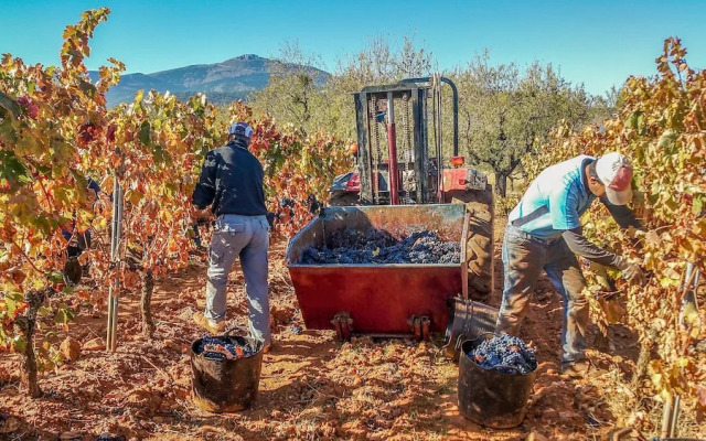 Apartamentos Casalarreina