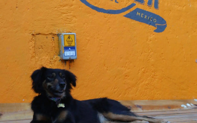Weary Traveler Hostel