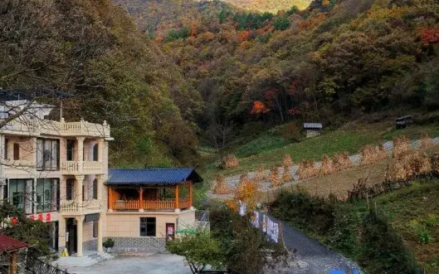 Shennongjia Bear Infestation Homestay