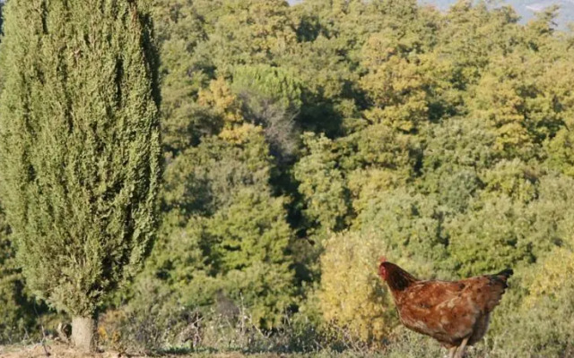 Tenuta il Casone