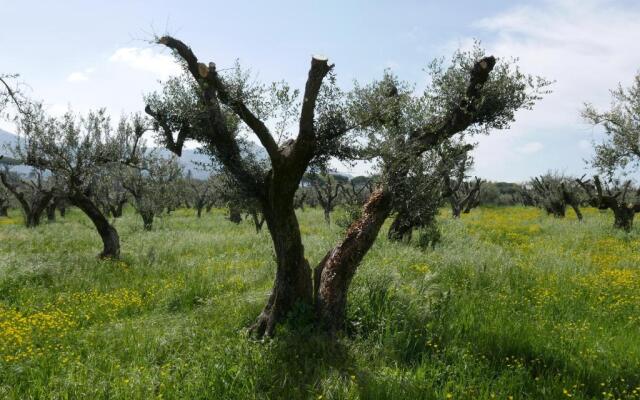 Villa Cavalletti Appartamenti