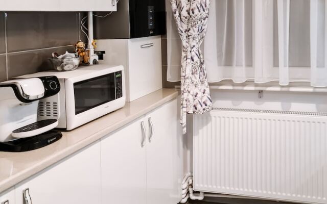 Apartament Alina