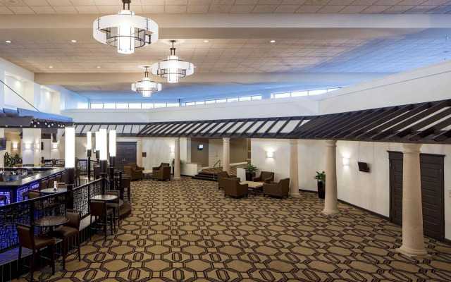 Hilton Houston Galleria Area