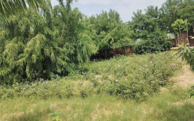 Janardan Resort Pushkar