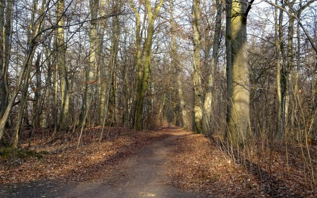 Neubrandenburg-Wasser,Natur,Zentrum,Ladestation für E-Autos
