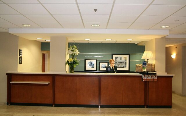 Hampton by Hilton Chihuahua