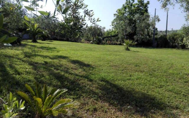 Valle Degli Ulivi