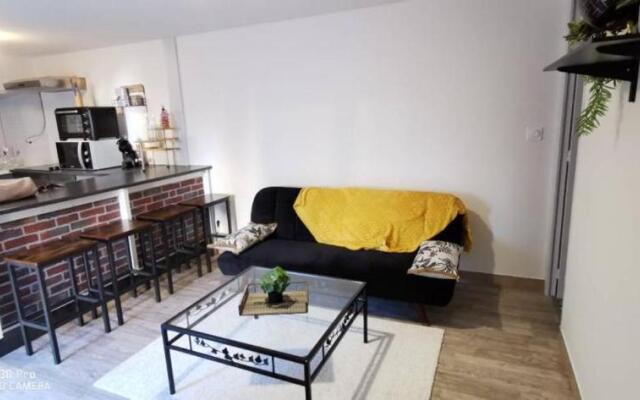 Appartement Cosy au cœur de la Champagne