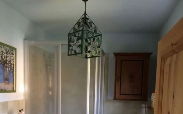 Red-throated Diver Modern Retreat