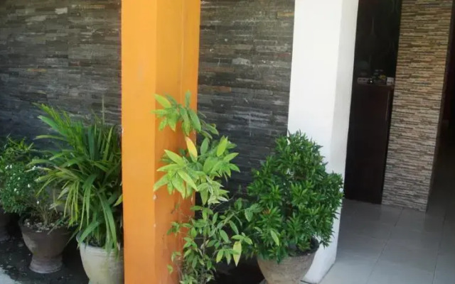 Hotel Krisan