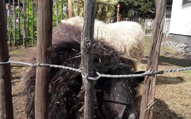 Schäferwagen auf'm Minibauernhof in Munster