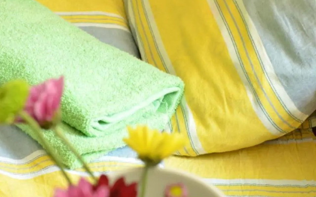 Zaya Guest House