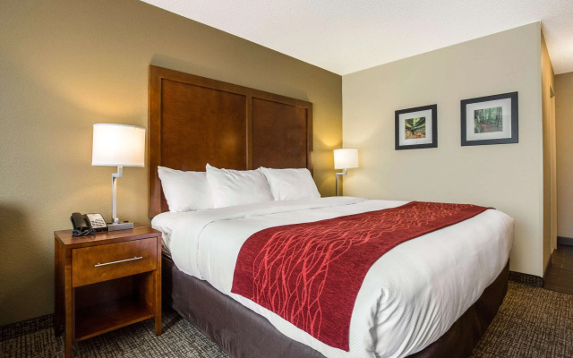 Comfort Inn La Porte