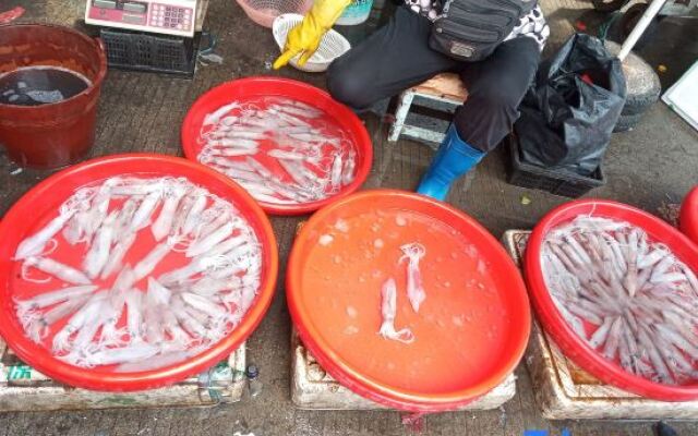 Dongshan Island Tinghai BBQ Homestay