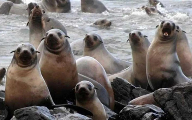 Saltwater Breeze Retreat