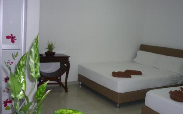 Hotel Paka INN