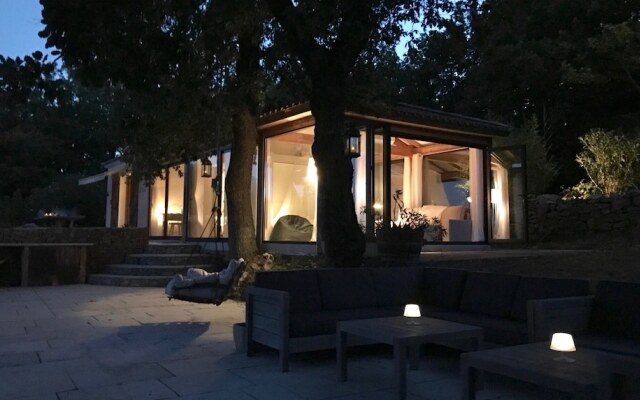 Wild Boar Mountain - France