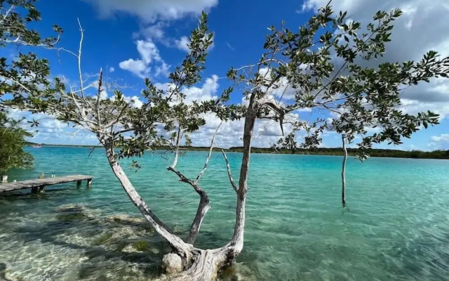 Luxury Apartment Right Next to the Lagoon