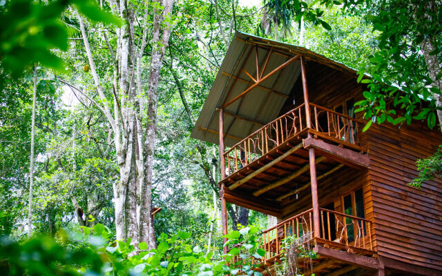 Ella Eco Lodge