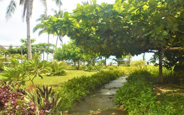 Toris Paradise