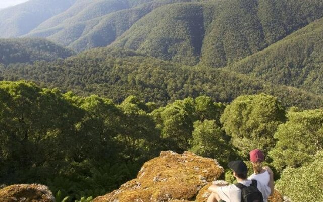 Shady Trees Barrington Holiday House