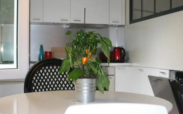 Charm and comfort in the Quartier Latin