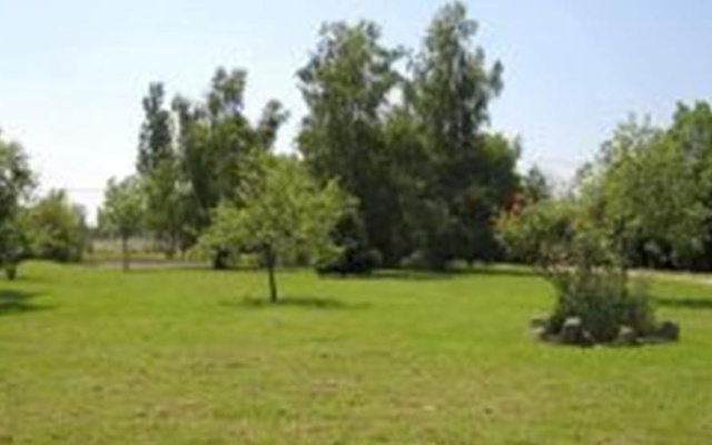 La Grenouillère