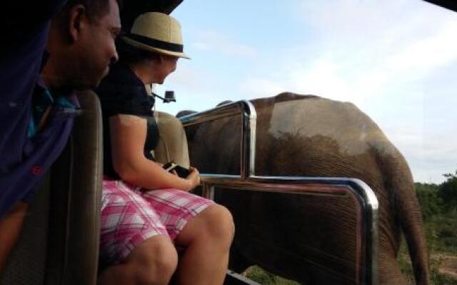 Elephants Fence Guest & Safari Services