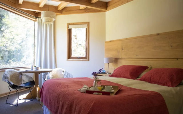 Hotel & Termas Huife