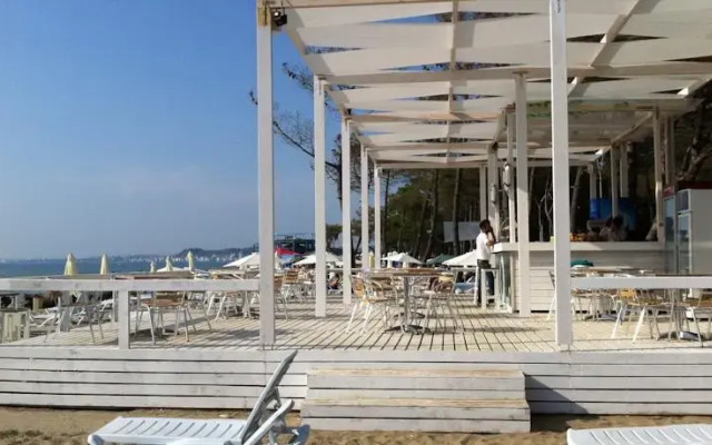 Apartment Marea