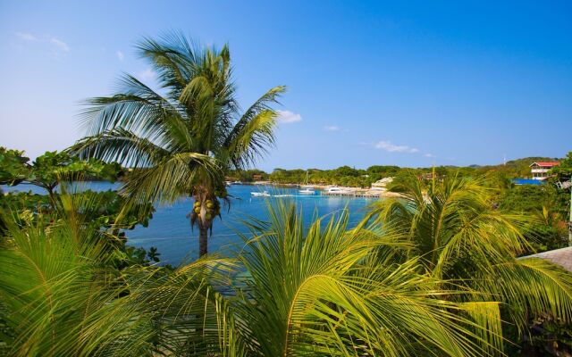 Bella Luna Beach House #227462