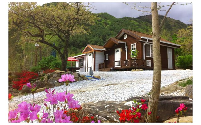 Jeongseon Galiwansan Story Pension