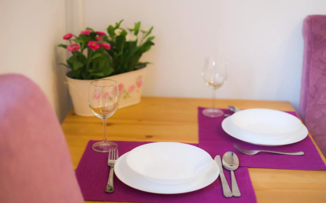 Studio Apartman Ld U Strogom Centru