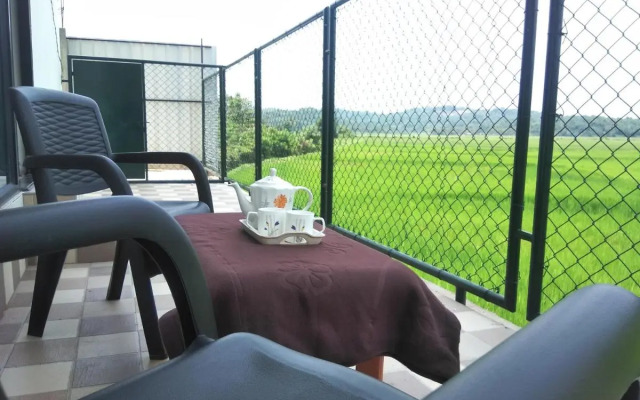 The Paddy Field Inn - Hostel