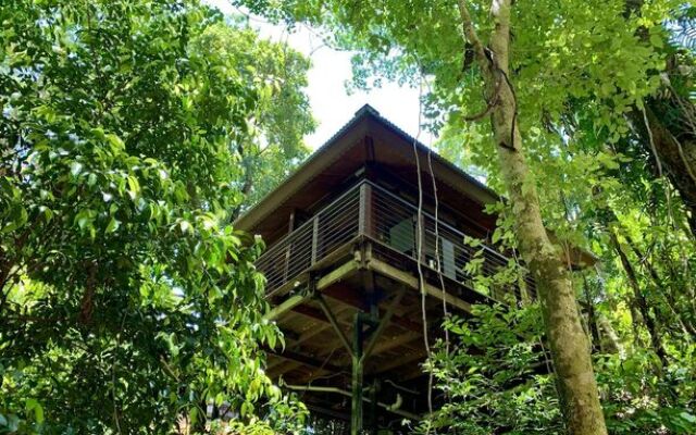 Cairns Rainforest Retreat