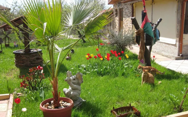 Albena Guest House