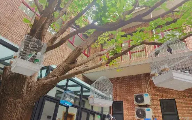 Love Home Homestay