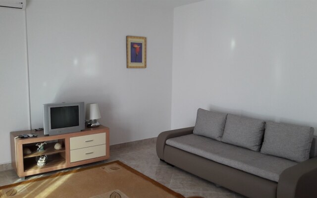 Apartment Branka