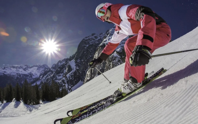 Annis Nest Ramsau am Dachstein