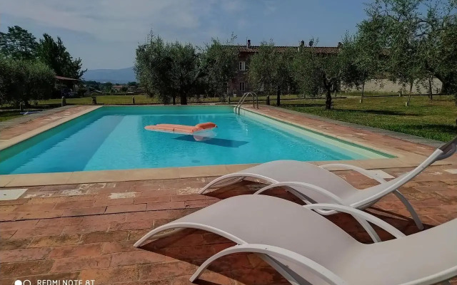 Ringo Country House