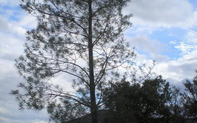 Apartamento Rural Tajo Internacional