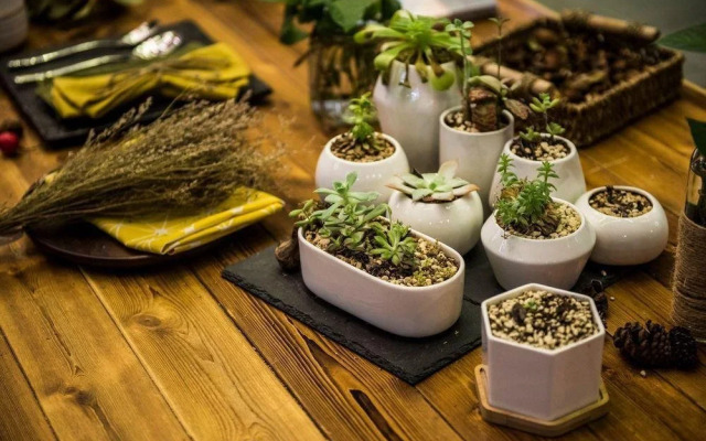 Go Native Downtown House Ningbo