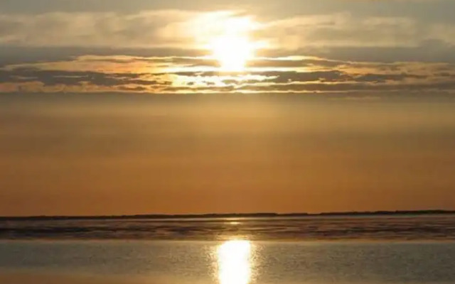 Mallard Modern Retreat