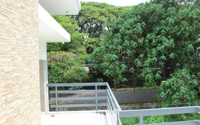 Rain Tree