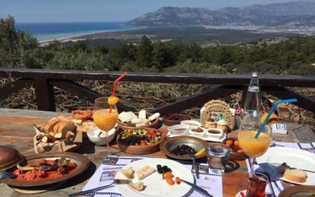 Prima Donna - Adults Only