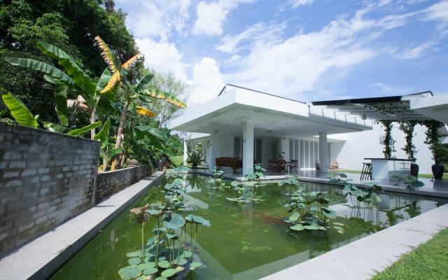 The Happy 8 Retreat X White House