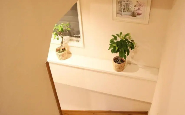 SHINJUKU 5 room modern house