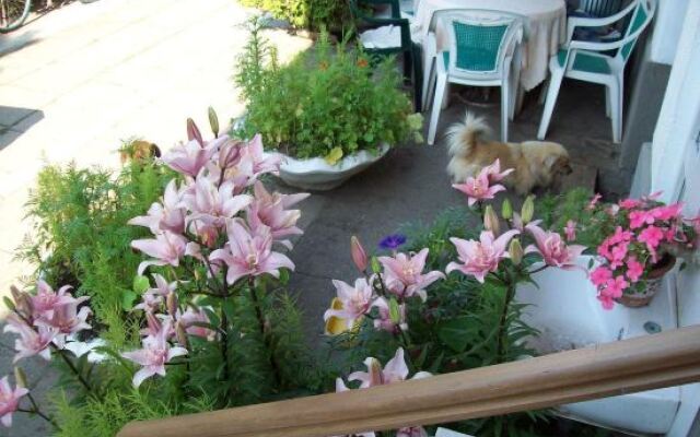 Pensiunea Magnolia