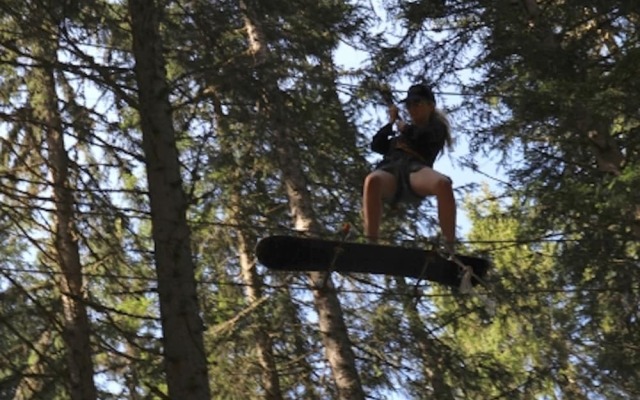 Les Chalets Autrichiens