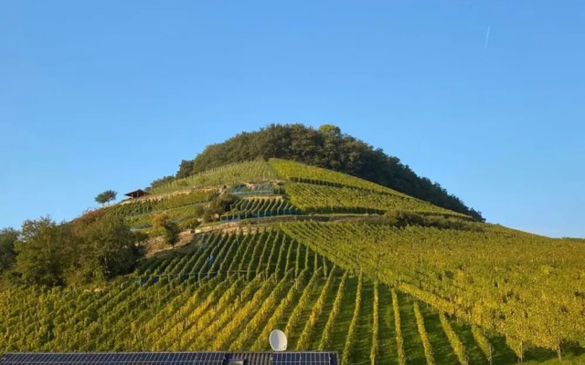 Holiday Apartment Meadow